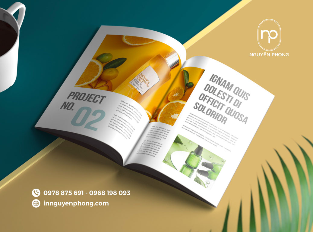 In catalogue số lượng ít - Giá rẻ, lấy ngay